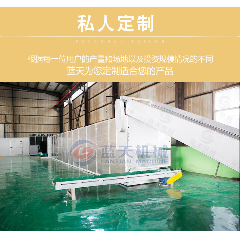 網(wǎng)帶球炭烘干機(jī)私人定制